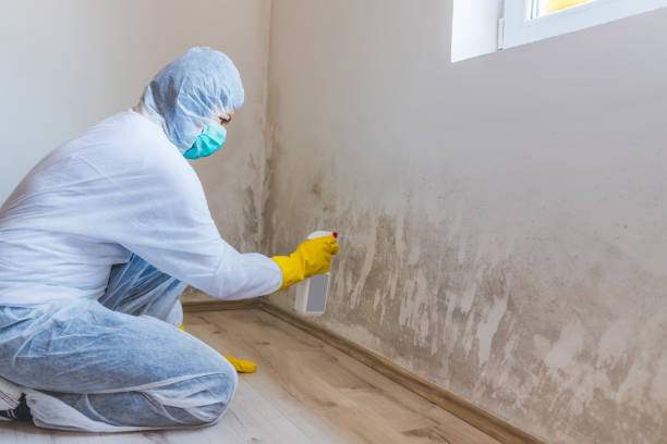 Licensed Mold Testing service in Rockville, MD - WQB Mold Removal
