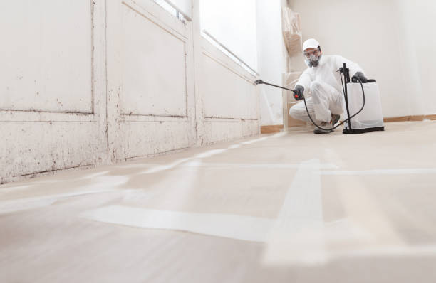 24/7 Emergency Mold Testing experts in Rockville, MD