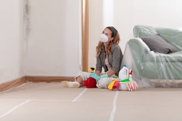 Reliable Mold Testing contractor in Rockville, MD by WQB Mold Removal