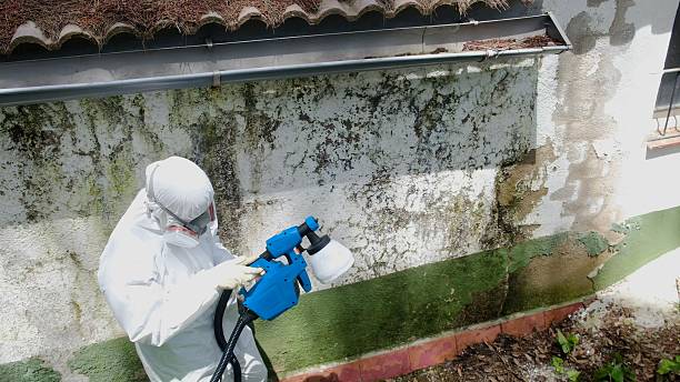 Top rated local Mold Testing specialists in Rockville, MD